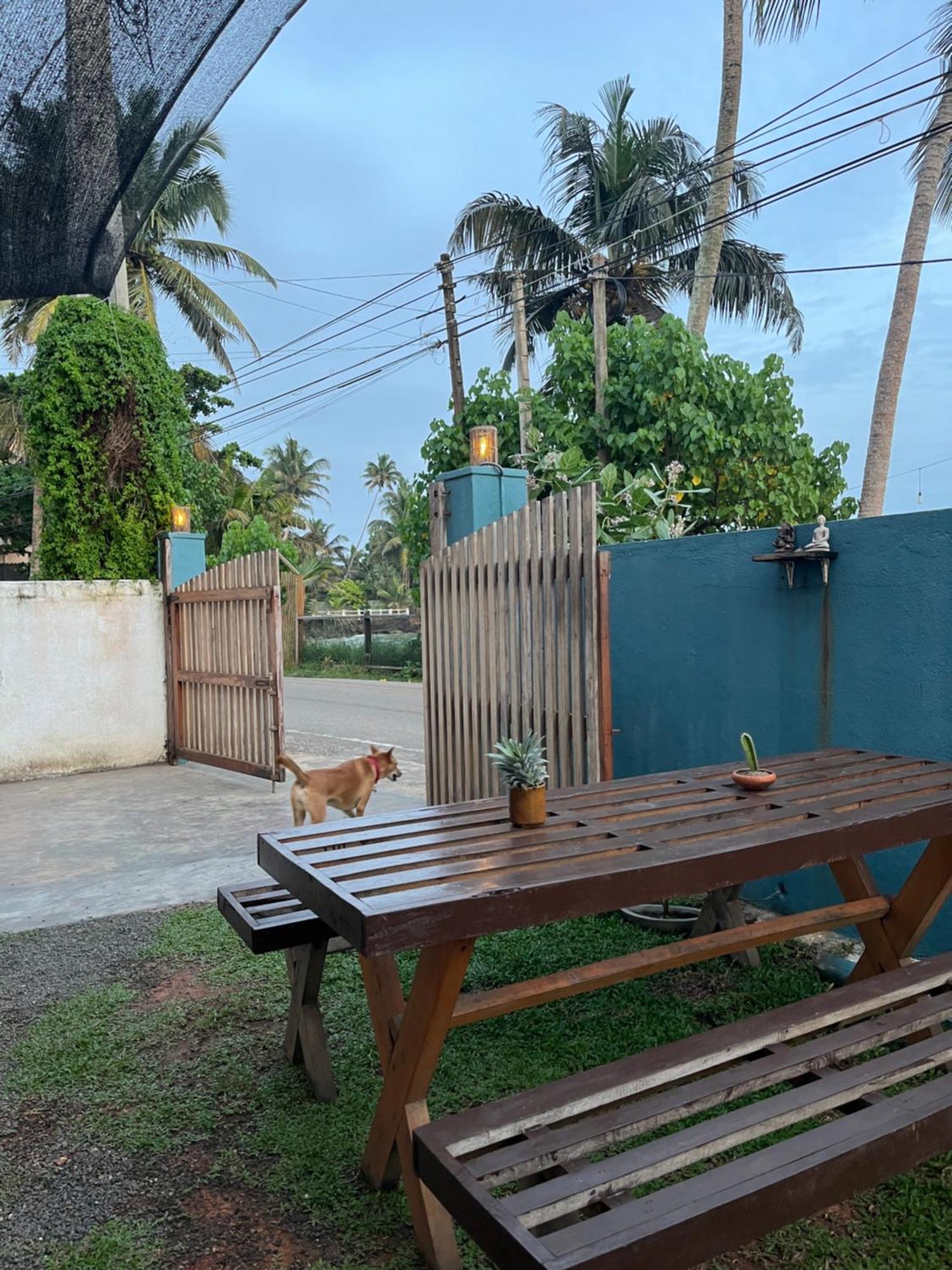 Just Another Guesthouse Polhena Exterior photo